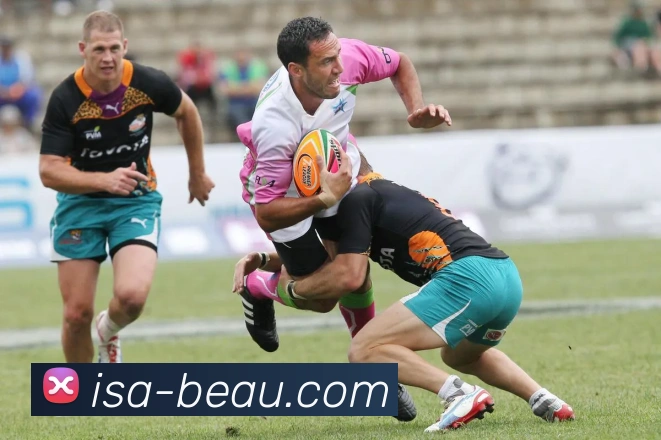 米兰在线服务体系